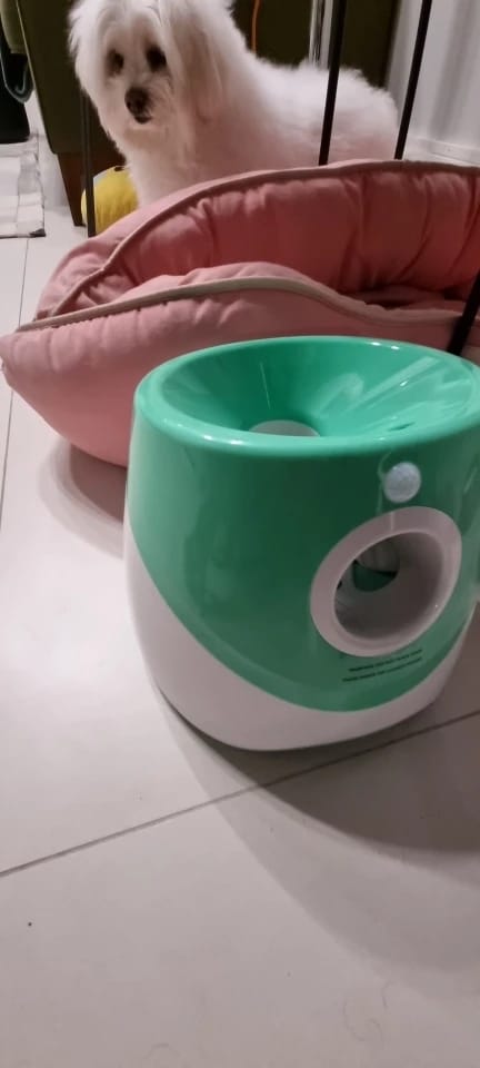 Customer photo review of Automatic Dog Ball Launcher