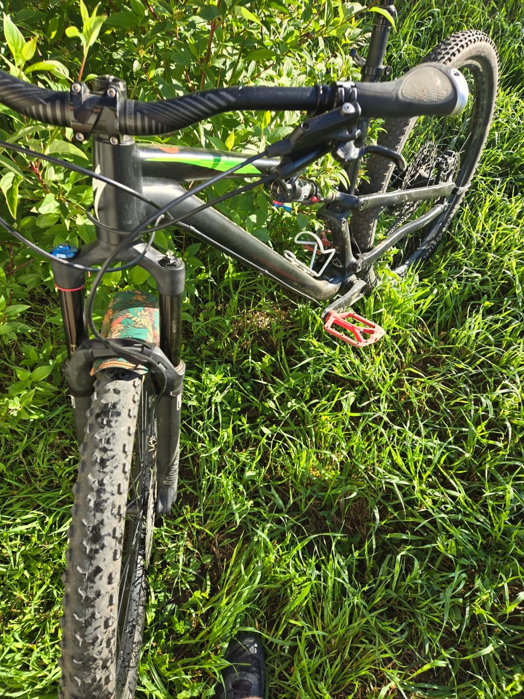 Customer photo review of Botanic Revival Fender