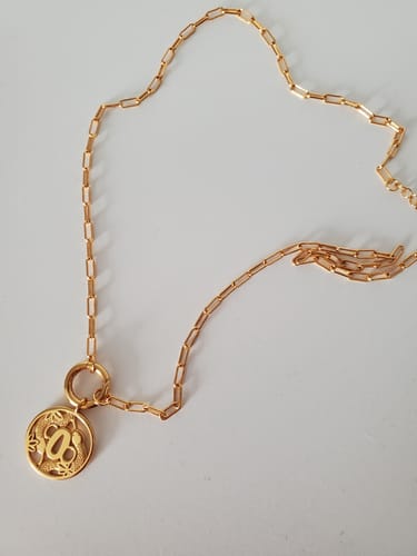 Customer photo review of Hashira Charm Necklace