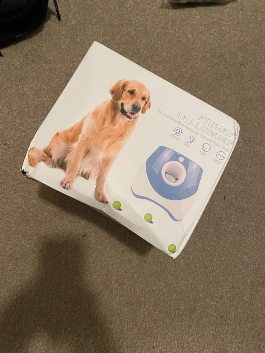 Customer photo review of Automatic Dog Ball Launcher