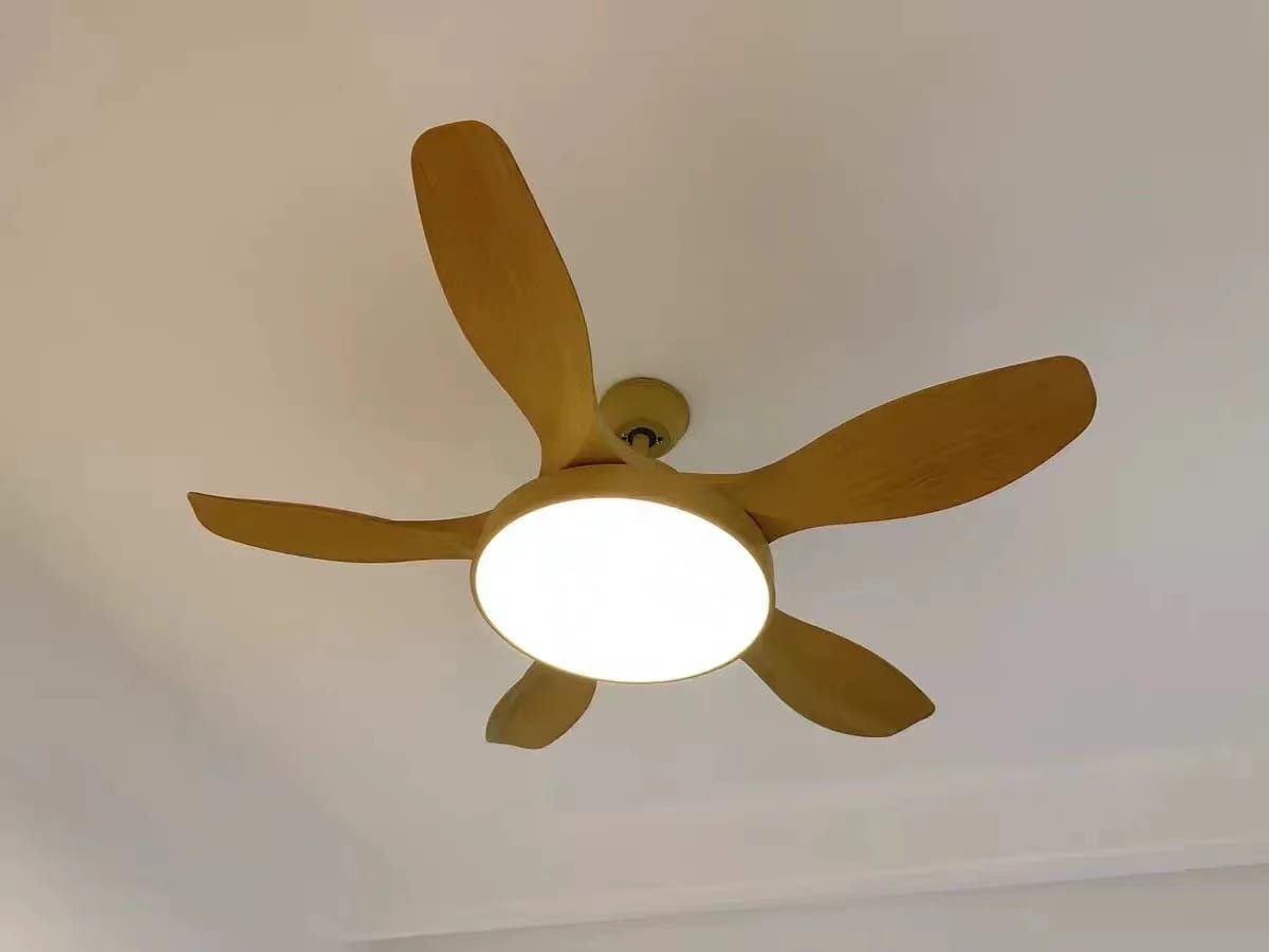 Customer photo review of WOMO Scandi Reversible Ceiling Fan with Light-WM5002