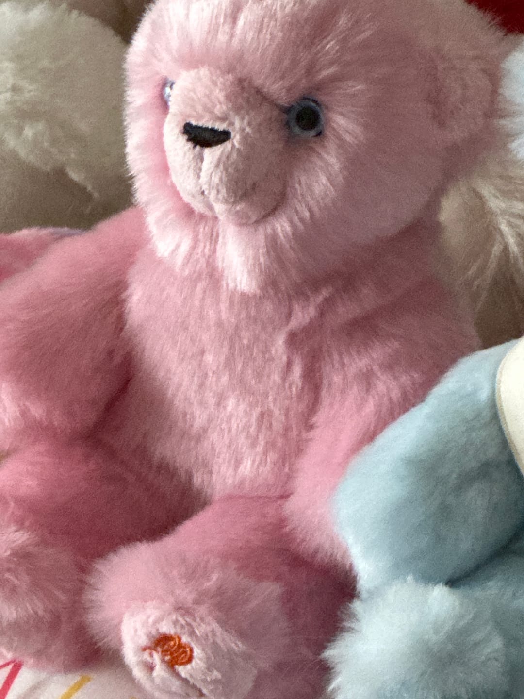 Customer photo review of Ma peluche Ours Émile