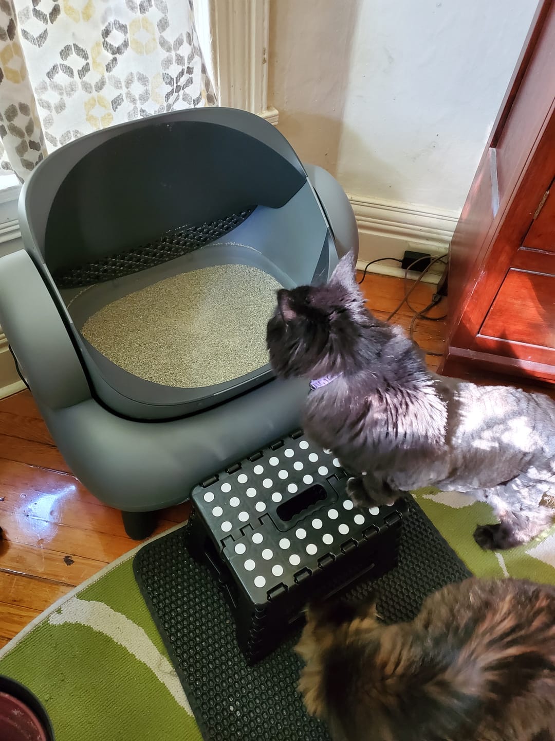 Customer photo review of Neakasa M1 Open-top Self-cleaning Cat Litter Box
