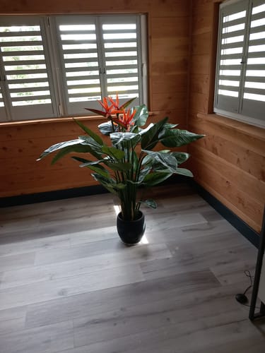 Customer photo review of Strelitzia Kunstplant 120cm met bloem