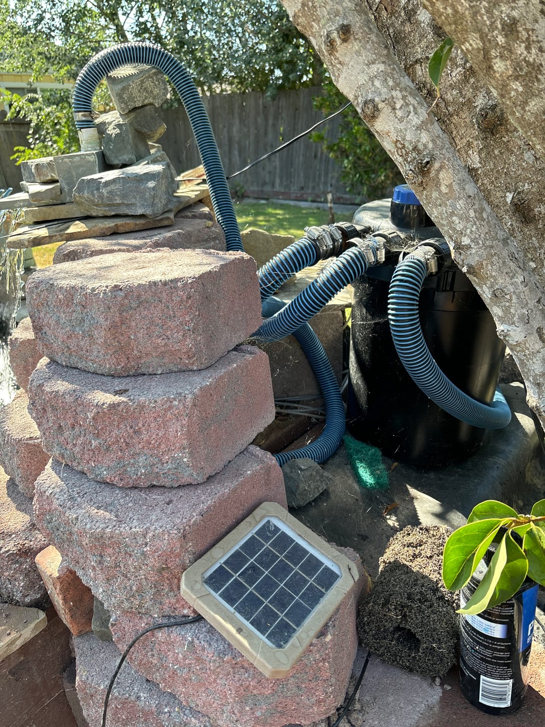 Customer photo review of Pond Filter 4000 Gallons Pond Pressure Bio Filter with 13W UV Light