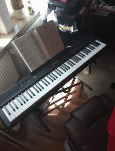 Customer photo review of Donner DEP-20 Digitalpiano 88 vollgewichtete Tasten mit Hammermechanik