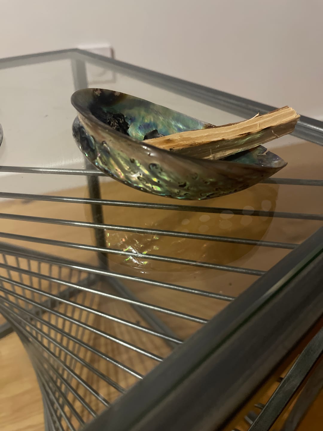 Customer photo review of Abalone naturel (Ormeau)