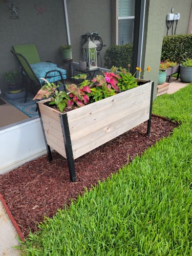 Customer photo review of 18" x 48" Raised Garden Bed