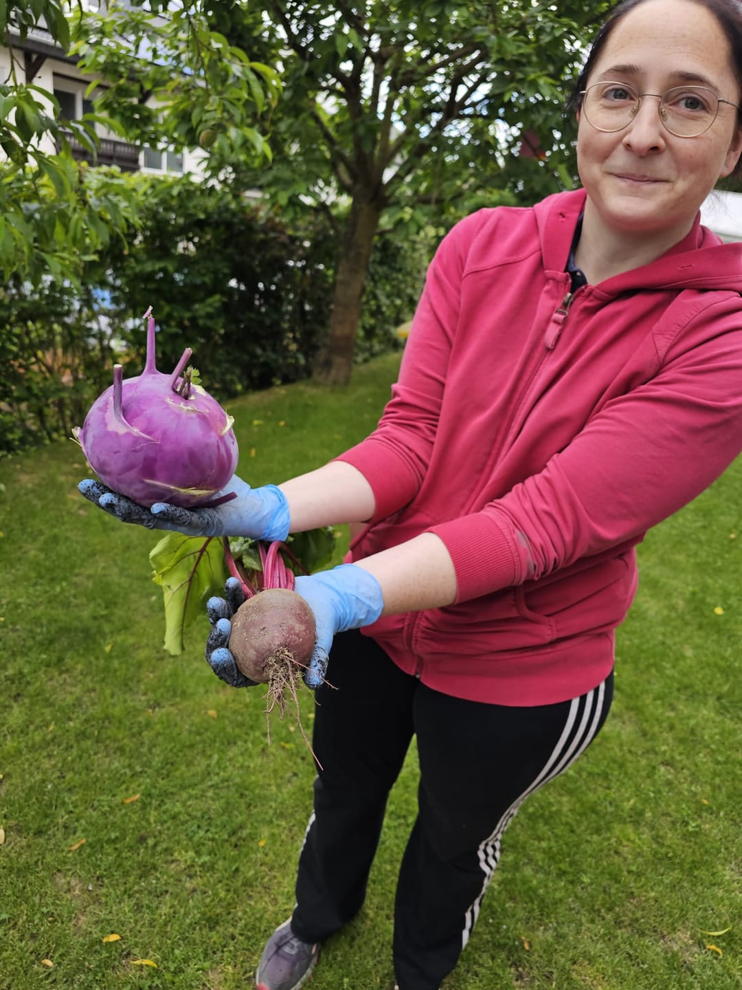Customer photo review of Kohlrabi ‘Azur Star’