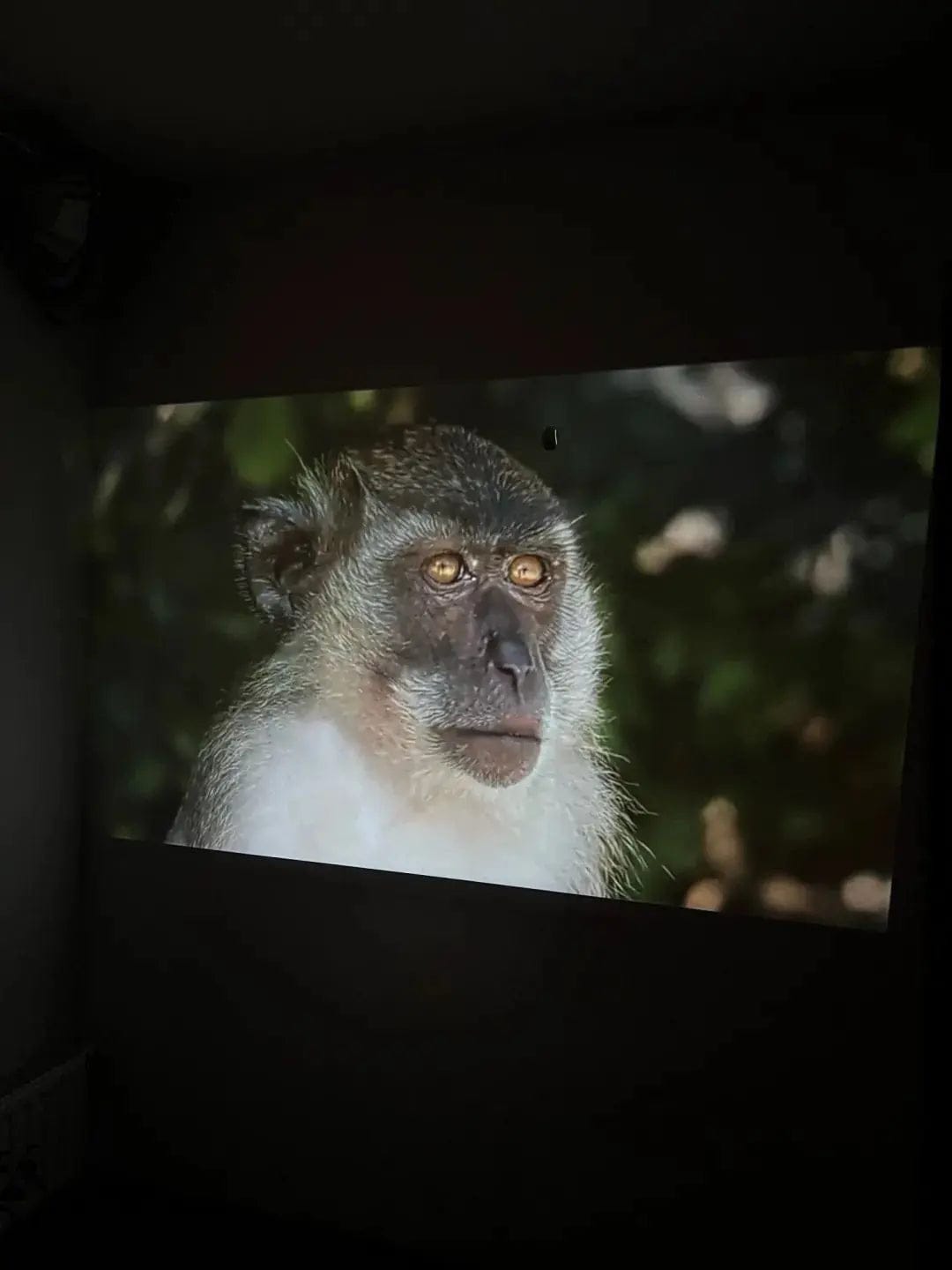 Customer photo review of Pocket Cinema