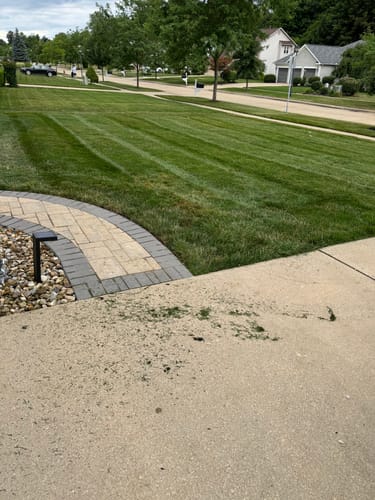 Customer photo review of GCI Turf Cool Blue Grass Seed