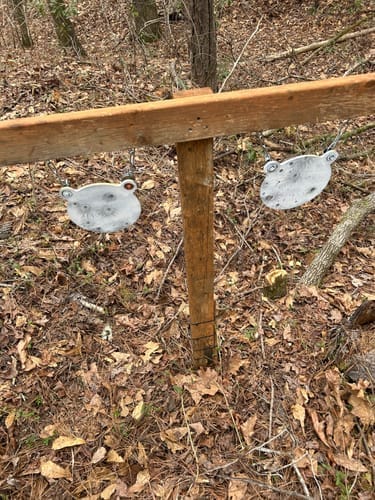 Customer photo review of AR500 Hanging Gongs