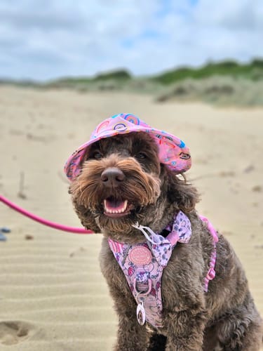 Customer photo review of Disney© Tough Trails™ Harness - Piglet