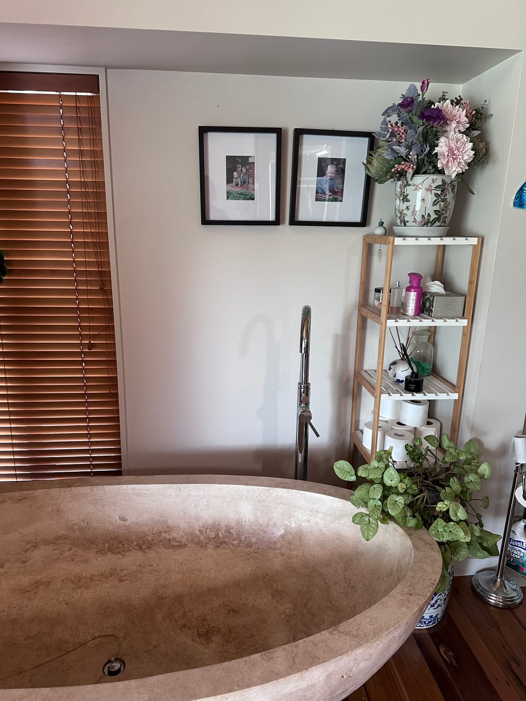Customer photo review of Lagoon Fish Wallpaper - Green