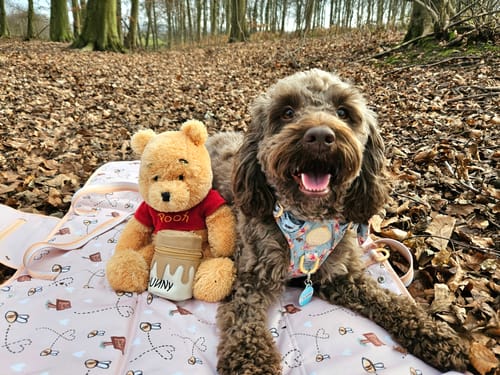 Customer photo review of Disney© Treat Pouch - Hunny Pot