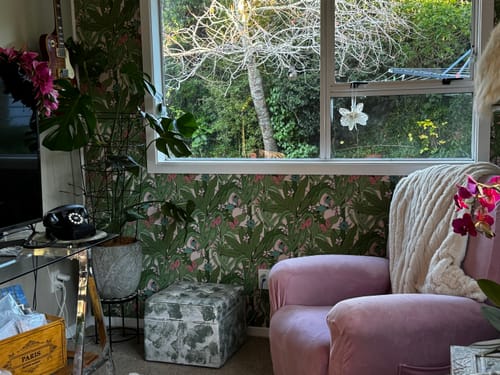 Customer photo review of Club Botanique Wallpaper - 3 Colours