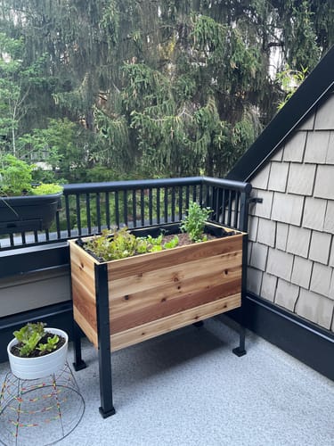 Customer photo review of 18" x 36" Raised Garden Bed