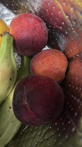 Customer photo review of "Plum" (Medium), Fruit & Veggie Mix