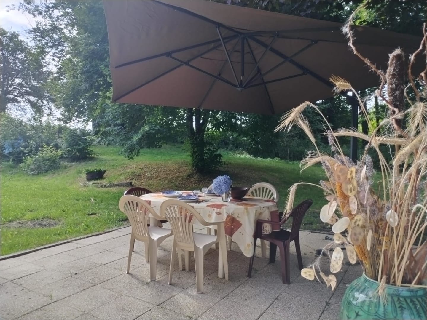 Customer photo review of CESARE