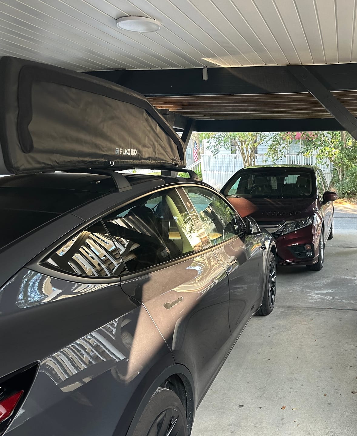 Customer photo review of LARGE CARRIER23