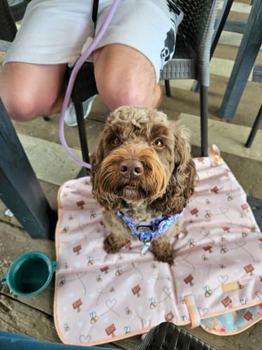 Customer photo review of Disney© Travel Mat - Winnie The Pooh