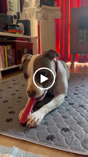 Customer video review of MIX FLAVORED CHEWS ( A PACK OF 4 STICKS )
