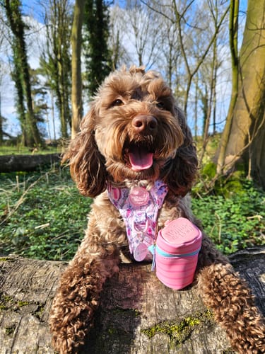 Customer photo review of Disney© Treat Pouch - Piglet