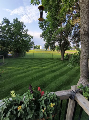 Customer photo review of 7-0-0 GreeNe EfFect™