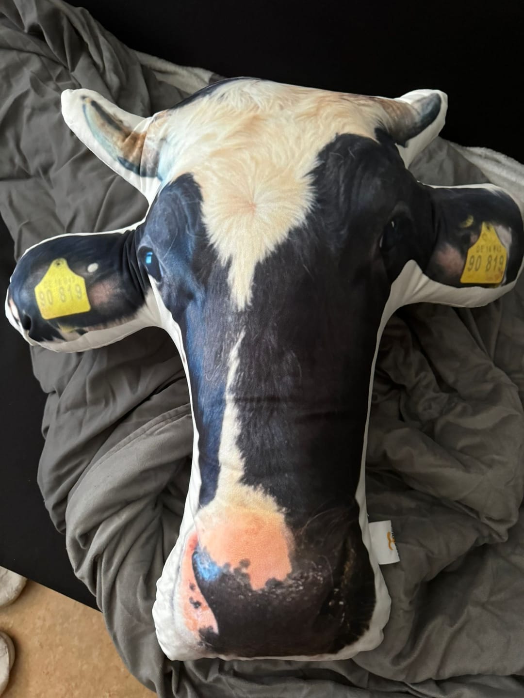 Customer photo review of Personalisiertes Tiergesichterkissen
