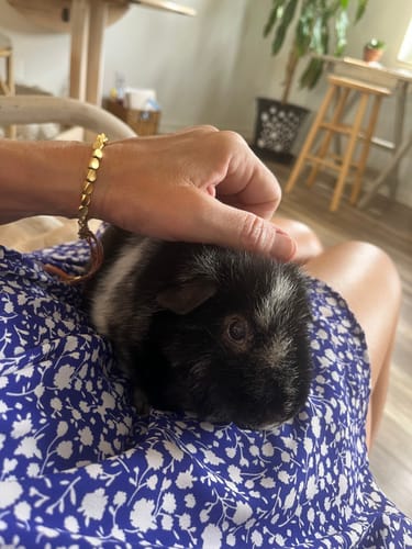 Customer photo review of Tibetan Bracelet of Fortune