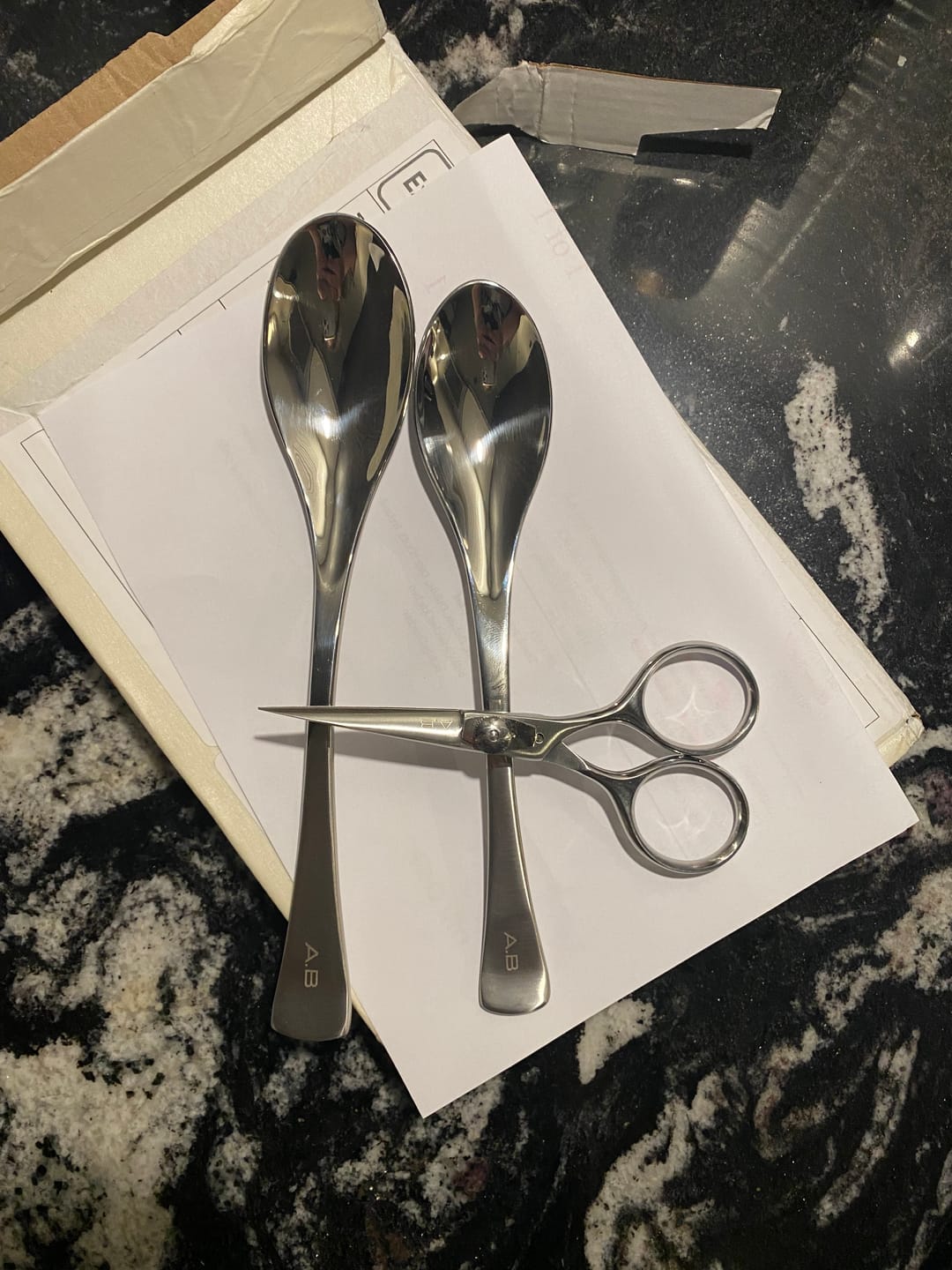 Customer photo review of SignatureSpoon Duo