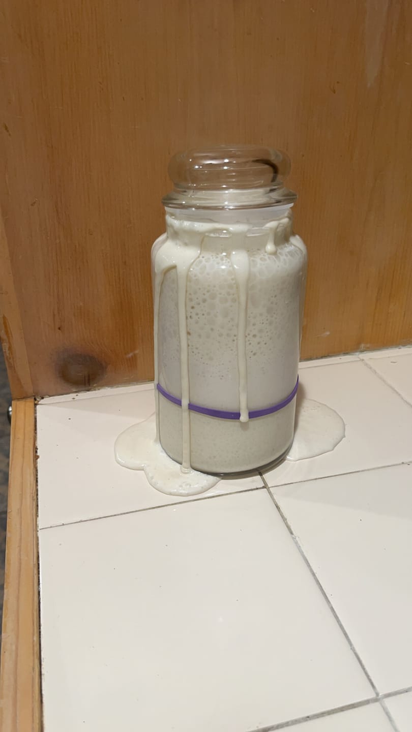 Customer photo review of Dehydrated Sourdough Starter Kit