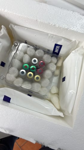 Customer photo review of Programa vacunación felino adulto completo