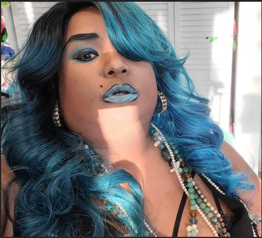 Customer photo review of Zury Sis Synthetic Invisible Top Part Lace Front Wig - IV-LACE H ARI 24 INCH