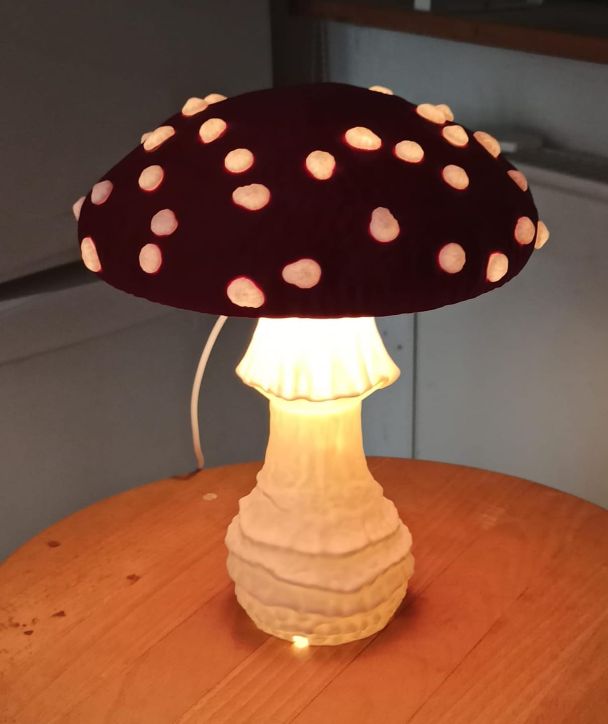 Customer photo review of Amanita Pilz Lampenschirm-Kit