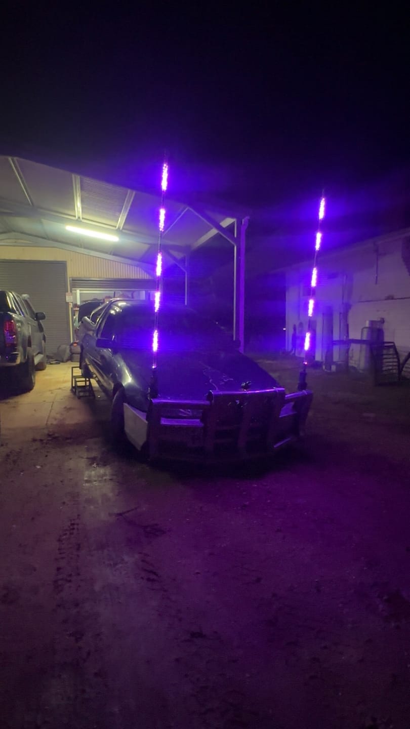 Customer photo review of 6ft LED Whip Lights