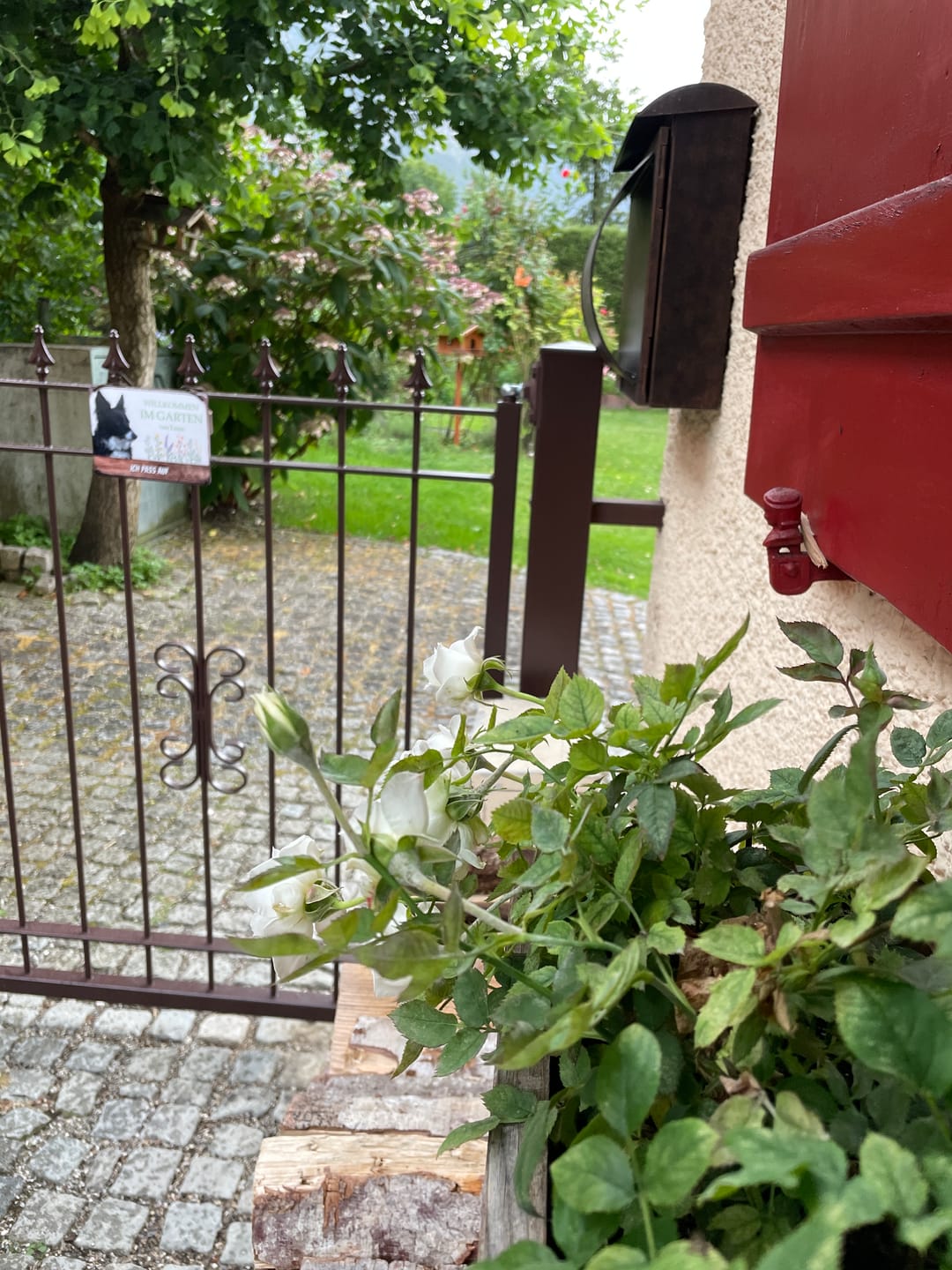 Customer photo review of Hunde Garten-Schild personalisiert mit Foto & Text (UV- und wetterfest)