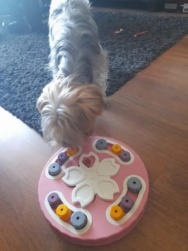 Customer photo review of SmartDog Futterlabyrinth