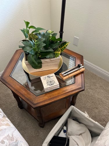 Customer photo review of Emotional Trauma Recovery - Dogs