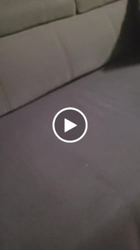 Heike W. review of Blue Razz Ice - Geek Bar Pulse X 25000 image 1 out of 1