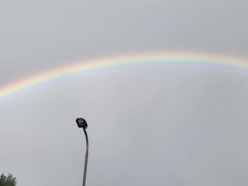 Customer photo review of Premium Leather Care Cream