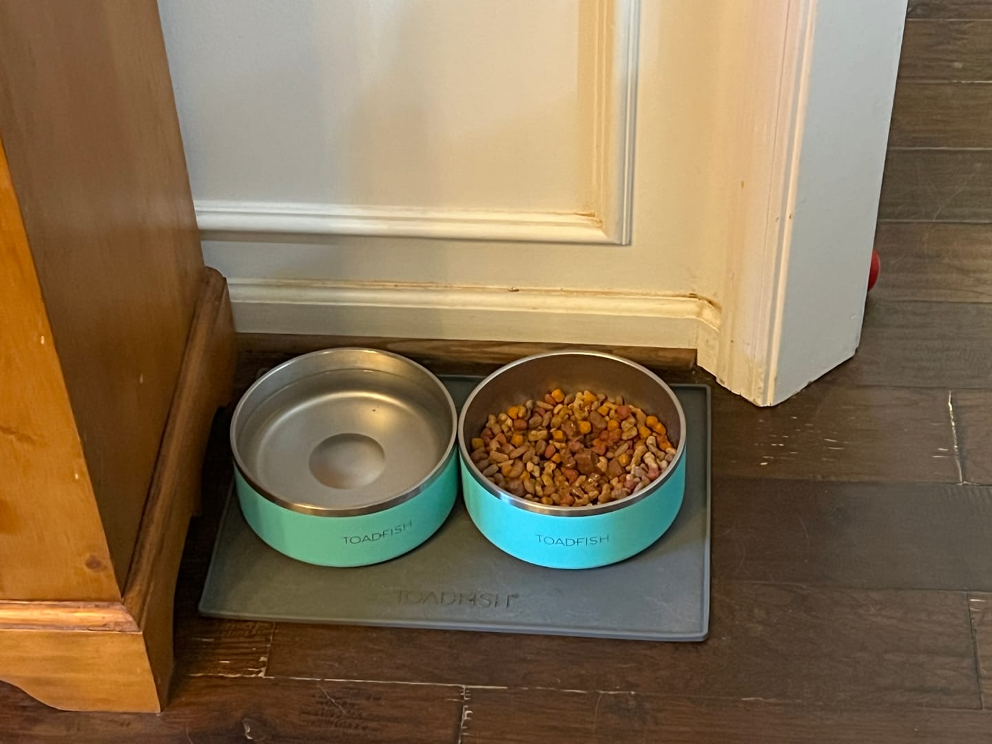 Customer photo review of Custom Engraved Dog Bowl