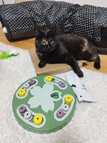 Customer photo review of SmartDog Futterlabyrinth