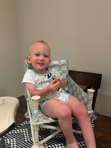 Customer photo review of Parker portable booster chair V2