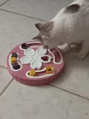 Customer photo review of SmartDog Futterlabyrinth