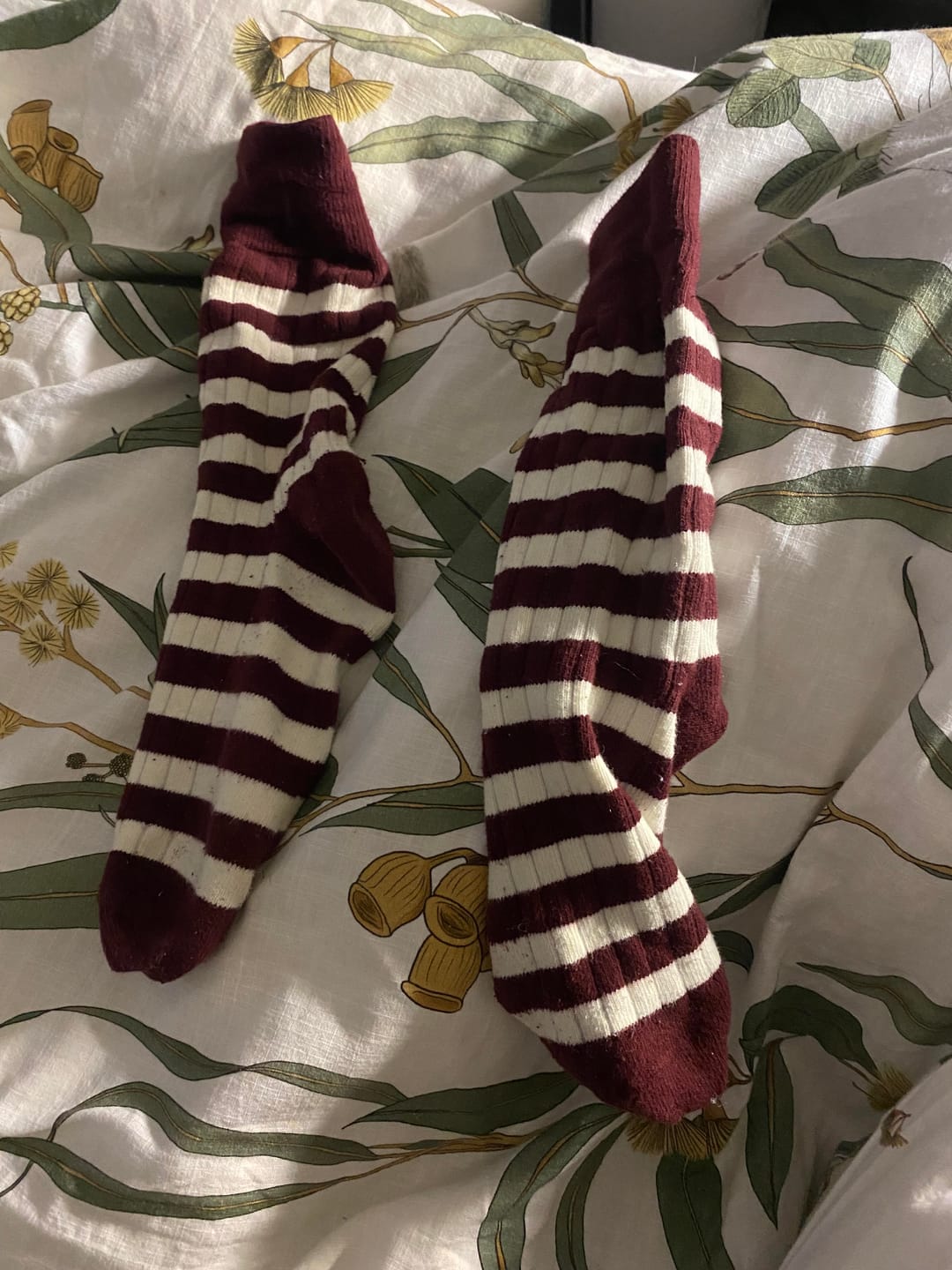 Customer photo review of Retro Striped Cotton Socks - Red/White