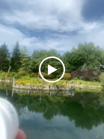 Customer video review of Royal Jelly Raw