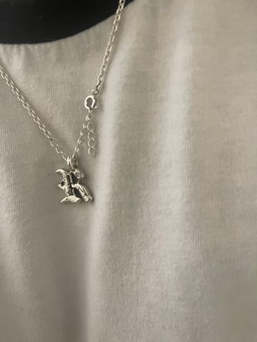 Customer photo review of R Icon Necklace
