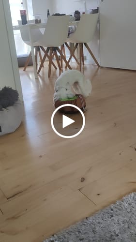 Customer video review of Sjovt snusetæppe