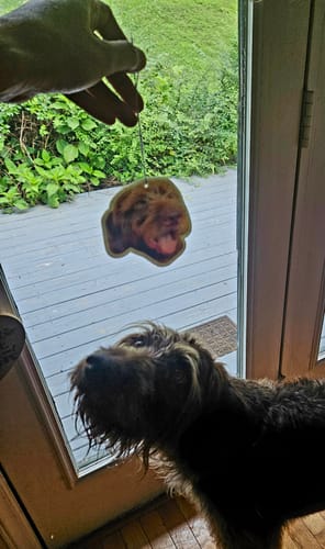 Customer photo review of Custom Shape Air Freshener